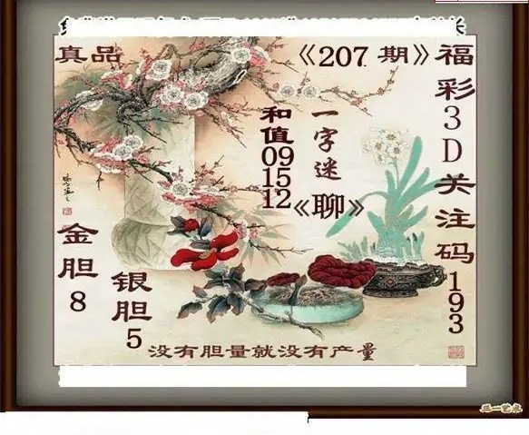 25207期: 白老3D杀码图版