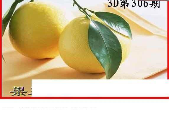 24306��: ����3Dɱ��ͼ��