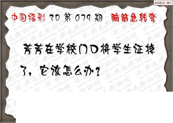 26079期: 3D蝴蝶世家蝴蝶彩图