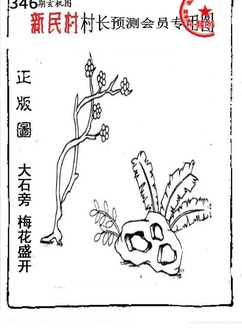 25346期: 老村长福彩3D天天图谜