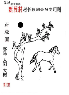 25316期: 老村长福彩3D天天图谜