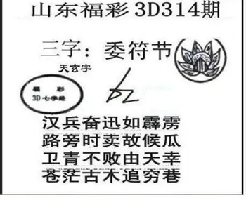 25314期: 三毛3D精品图谜