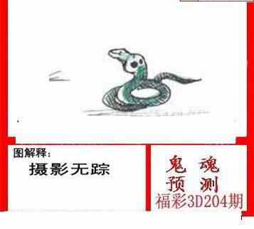 24204期: 白老3D杀码图版