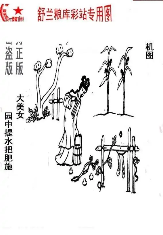 25078期: 老村长福彩3D天天图谜