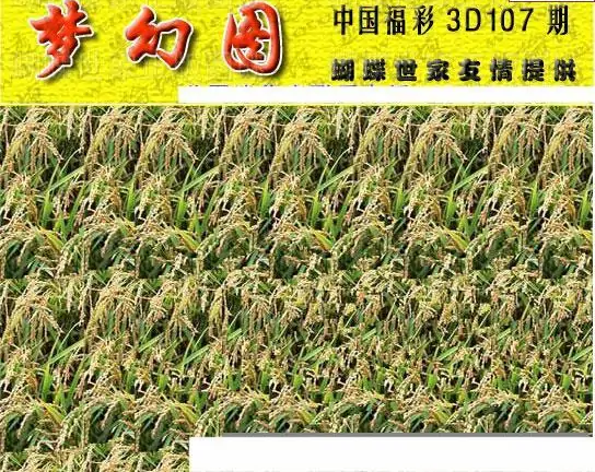25107期: 3D蝴蝶世家蝴蝶彩图