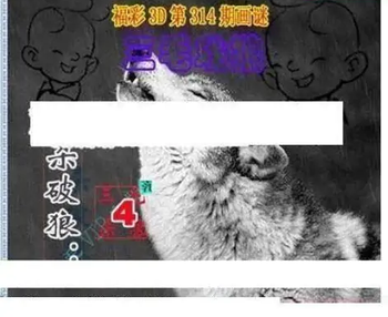 25314期: 三毛3D精品图谜