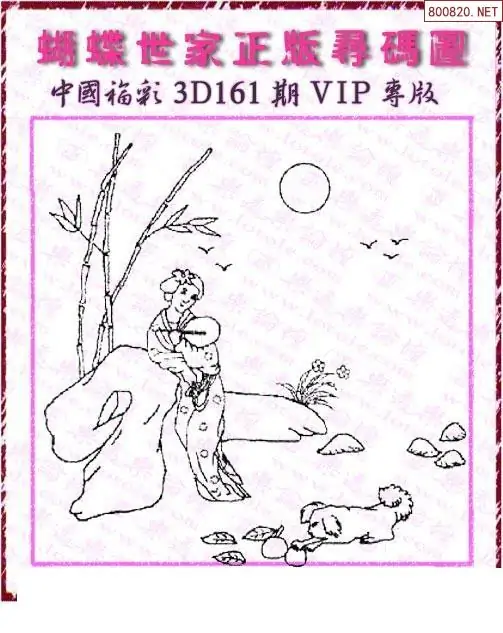 25161期: 3D蝴蝶世家蝴蝶彩图