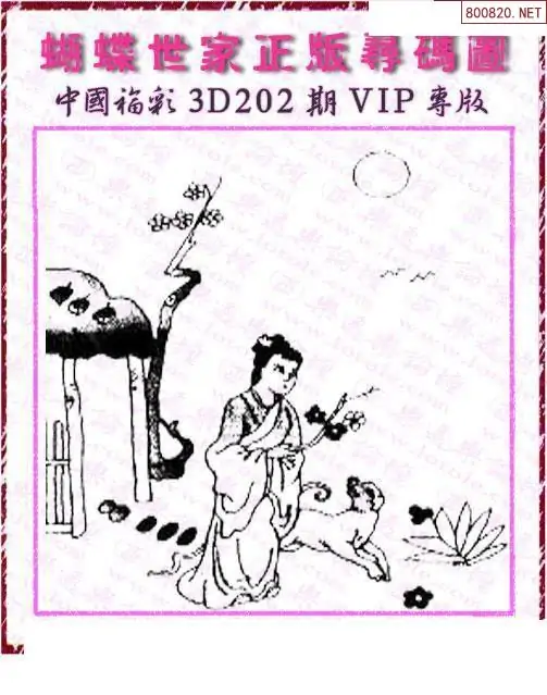 25202期: 3D蝴蝶世家蝴蝶彩图