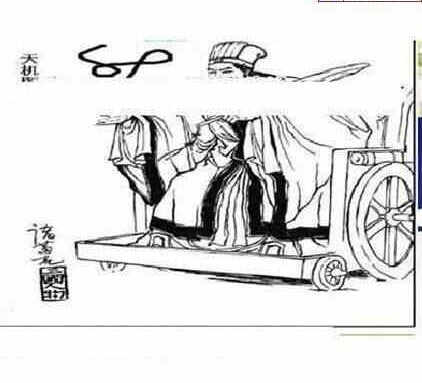 24102期: 三毛3D精品图谜