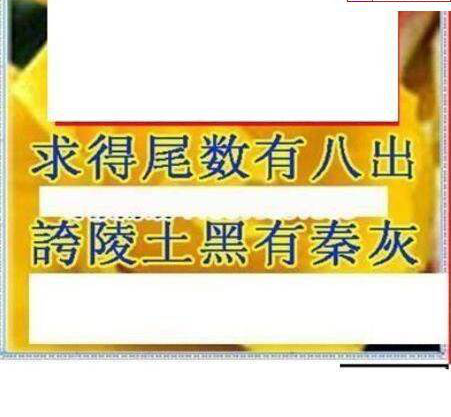 25013期: 三毛3D精品图谜