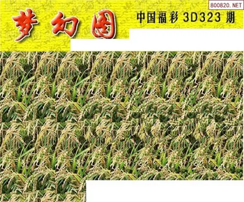 25323期: 3D蝴蝶世家蝴蝶彩图