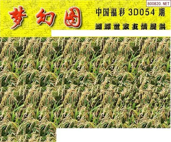 26054期: 3D蝴蝶世家蝴蝶彩图