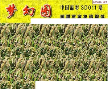 26011期: 3D蝴蝶世家蝴蝶彩图