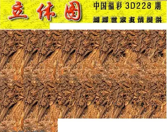 25228期: 3D蝴蝶世家蝴蝶彩图