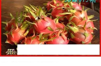 26075期: 白老3D杀码图版