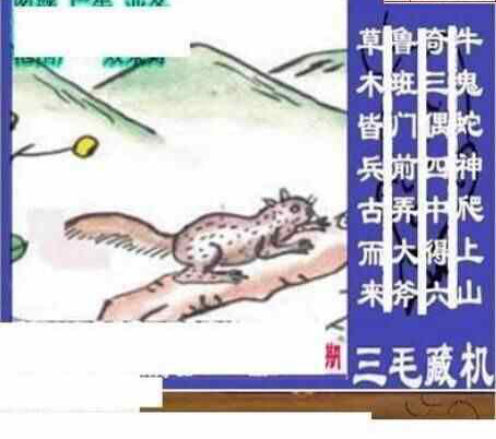 24280期: 三毛3D精品图谜