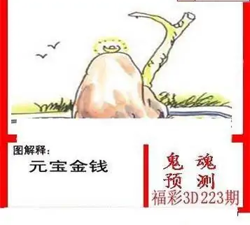 25223期: 白老3D杀码图版