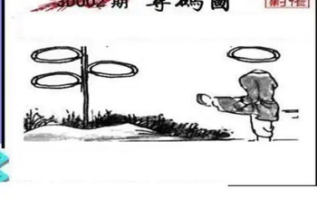 26002期: 三毛3D精品图谜