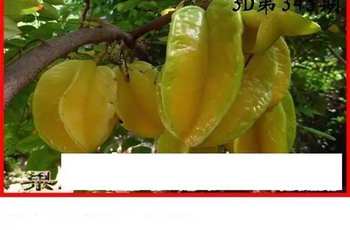 25345期: 白老3D杀码图版