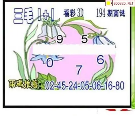 25194期: 三毛3D精品图谜