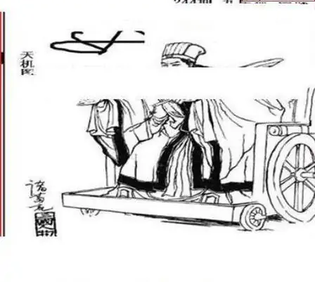 25244期: 三毛3D精品图谜