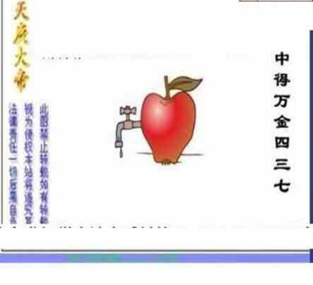 24094期: 三毛3D精品图谜