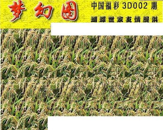 25002期: 3D蝴蝶世家蝴蝶彩图