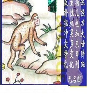 26102期: 太湖图福彩3D精品预测