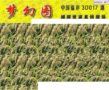 26017期: 3D蝴蝶世家蝴蝶彩图