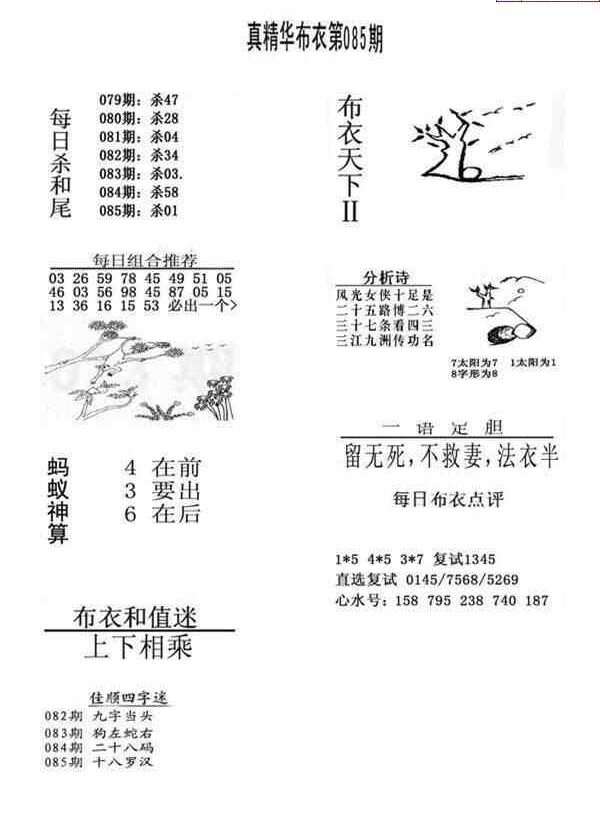 24085期: 福彩3D全套图版参考