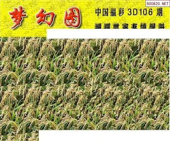 26106期: 3D蝴蝶世家蝴蝶彩图