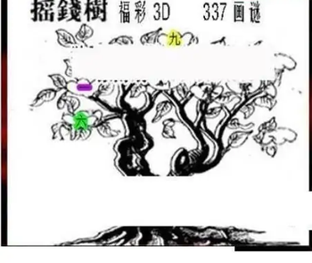 25337期: 三毛3D精品图谜
