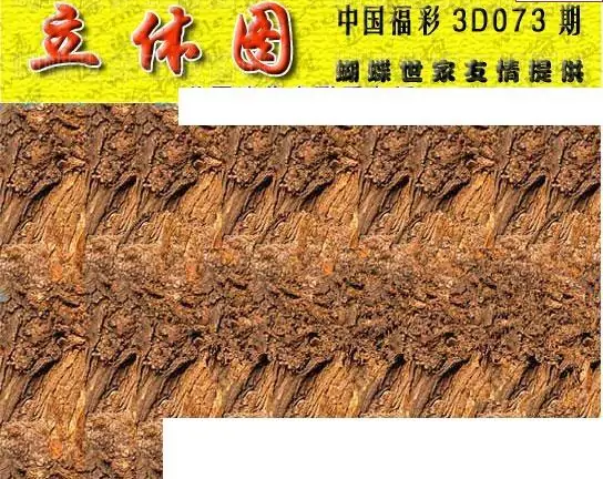 25073期: 3D蝴蝶世家蝴蝶彩图