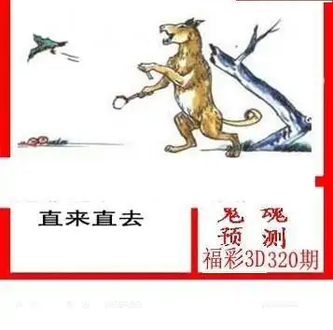 25320期: 白老3D杀码图版