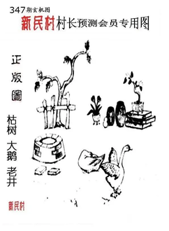 25347期: 老村长福彩3D天天图谜