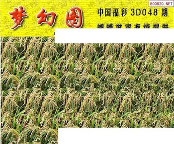 26048期: 3D蝴蝶世家蝴蝶彩图
