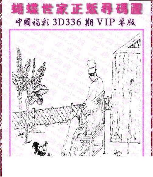 24336期: 3D蝴蝶世家蝴蝶彩图