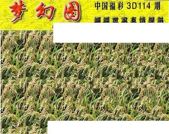 25114期: 3D蝴蝶世家蝴蝶彩图