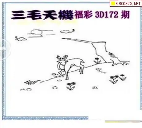 25172期: 三毛3D精品图谜