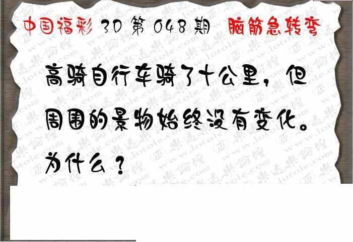 25048期: 3D蝴蝶世家蝴蝶彩图