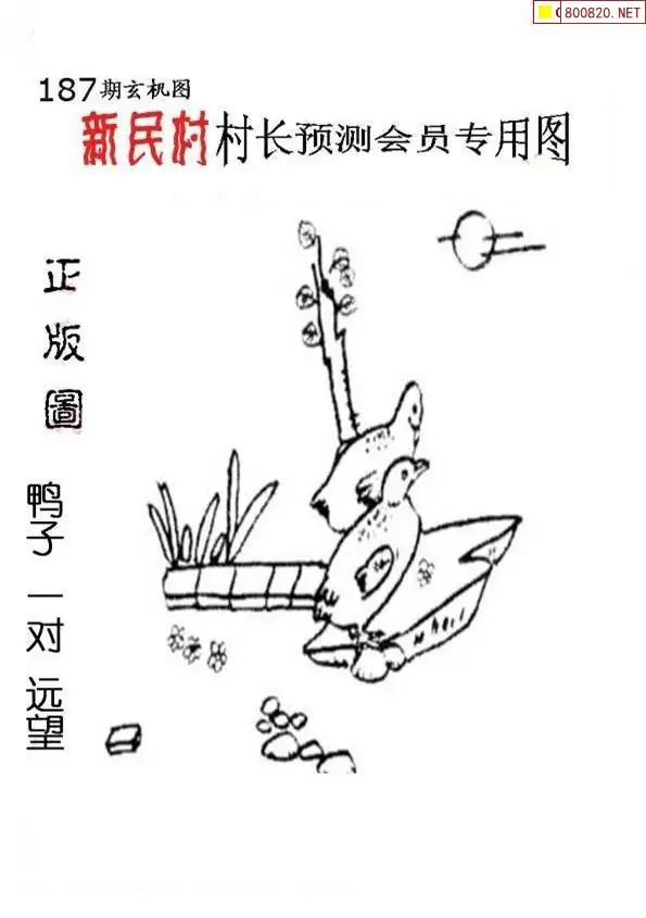 25187期: 老村长福彩3D天天图谜