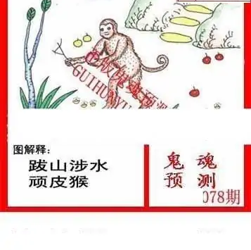 25078期: 白老3D杀码图版