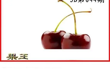 26044期: 白老3D杀码图版