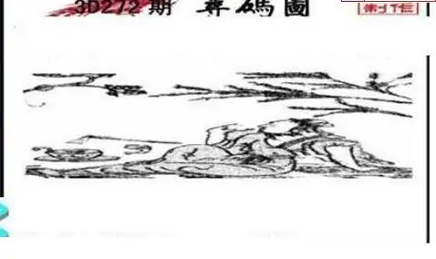 25272期: 三毛3D精品图谜