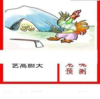 25329期: 白老3D杀码图版