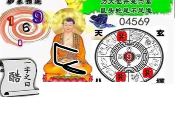 26013期: 白老3D杀码图版