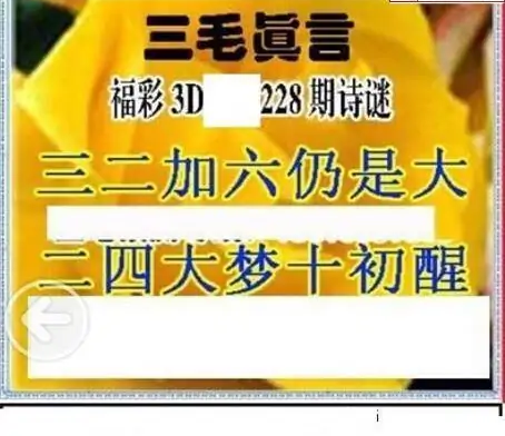 25228期: 三毛3D精品图谜