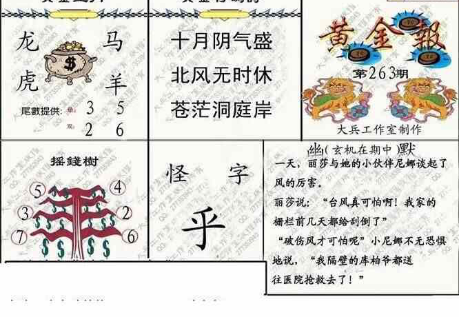 24263期: 大兵福彩3D黄金报图版