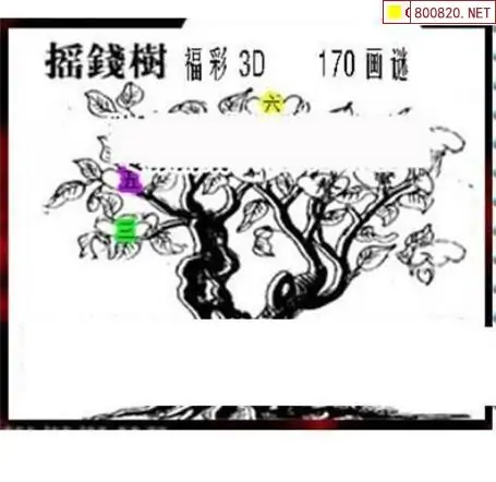 25170期: 三毛3D精品图谜