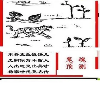 26092期: 三毛3D精品图谜